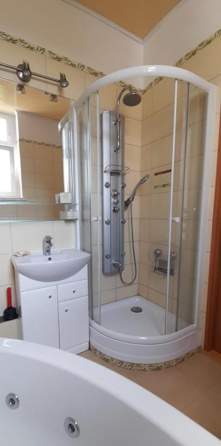 Apartament Kasztanowy Apartment Gliwice Exterior foto