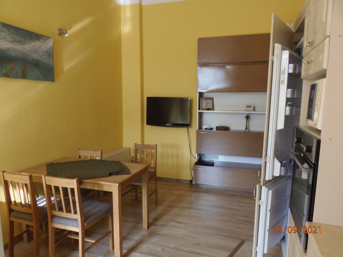 Apartament Kasztanowy Apartment Gliwice Exterior foto